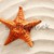 praia · areia · branca · starfish · férias · de · verão · símbolo · como - foto stock © lunamarina