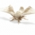 Motyl · biały · jedwabiu · robaka · odizolowany · przemysłu - zdjęcia stock © lunamarina