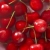 cireş · roşu · fructe · pătrat · macro · apă - imagine de stoc © lunamarina