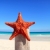 caribbean · denizyıldızı · ahşap · kutup · plaj · güzel - stok fotoğraf © lunamarina