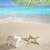 caribbean beach starfish print shell white sand stock photo © lunamarina