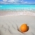 cocco · Caraibi · spiaggia · sabbia · bianca · maturo · arancione - foto d'archivio © lunamarina