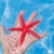 Red starfish in human hand floating stock photo © lunamarina