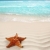 Insulele · Caraibe · plajă · steaua · de · mare · ondulat · nisip · alb · vară - imagine de stoc © lunamarina