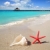 tengerpart · tengeri · csillag · kagyló · fehér · homok · trópusi · kunyhó - stock fotó © lunamarina