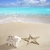 caribbean · praia · starfish · imprimir · concha · areia · branca - foto stock © lunamarina