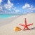 praia · starfish · concha · areia · branca · céu · água - foto stock © lunamarina