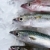 fish seafood over ice stock photo © lunamarina