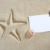 blank paper beach sand starfish pint shells summer stock photo © lunamarina