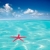 Red starfish floating on perfect tropical sea stock photo © lunamarina