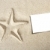 blank paper beach sand starfish pint summer stock photo © lunamarina