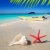 praia · starfish · concha · areia · branca · tropical · barco - foto stock © lunamarina