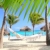 Caribbean beach hammock and palm trees stock photo © lunamarina
