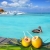 Caribbean fresh coconuts cocktail pelican swimming stock photo © lunamarina