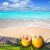 caribbean · paraíso · praia · coquetel · palmeiras - foto stock © lunamarina