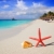 tengerpart · tengeri · csillag · kagyló · fehér · homok · trópusi · kunyhó - stock fotó © lunamarina
