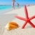 beach starfish and seashell on white sand stock photo © lunamarina