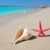 tengerpart · tengeri · csillag · kagyló · fehér · homok · égbolt · víz - stock fotó © lunamarina