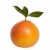 narancs · levelek · fehér · érett · izolált · levél - stock fotó © lypnyk2