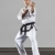 martial arts master stock photo © magann