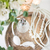 白 · 婚禮 · 裝飾 · 香水 · 珍珠 · 珠 - 商業照片 © manera