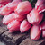 friss · tavasz · rózsaszín · tulipánok · köteg · öreg - stock fotó © manera