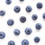 blueberries isolated macro shot stock photo © manera