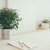 работу · пространстве · растений · холст · таблице - Сток-фото © manera