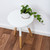 simple decor objects, minimalist white interior stock photo © manera