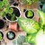 陽台 · 花園 · 自然 · 植物 · 綠色 · 城市 - 商業照片 © manera