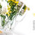 Festive table setting in yellow, template stock photo © manera