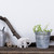 Stil · rustikal · Holzbrett · Pflanzen · weiß - stock foto © manera