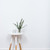 簡單 · 裝飾 · 對象 · 極簡主義 · 白 · 室內 - 商業照片 © manera