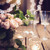 優雅 · 復古 · 婚禮 · 表 · 裝飾 · 玫瑰 - 商業照片 © manera