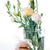 giallo · biscotti · bouquet · bianco · fiori - foto d'archivio © manera