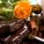 шоколадом · кофе · корицей · цветок · желтый · цветок - Сток-фото © marylooo