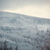 mystère · neige · forêt · arbre · de · pin · arbre · nature - photo stock © Massonforstock