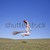 tineri · vrăjitoare · mătură · care · zboară · iarba · verde · câmp - imagine de stoc © Massonforstock