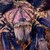 tarantula Phormictopus sp purple stock photo © master1305