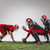 The three american football players in action stock photo © master1305