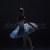 portret · balerină · balet · siluetă · rol · alb - imagine de stoc © master1305