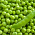 Background of Fresh Sweet Green Pea Ceeds stock photo © maxpro