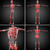3D · medische · illustratie · skelet · bot - stockfoto © maya2008