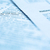 Tax forms stock photo © mblach