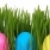 復活節彩蛋 · 草 · 白 · 春天 · 性質 · 雞蛋 - 商業照片 © mblach