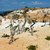 piękna · krajobraz · kanion · wspaniały · kamień · formacja - zdjęcia stock © meinzahn