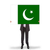 бизнесмен · большой · карт · флаг · Пакистан - Сток-фото © michaklootwijk
