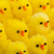 Abundance of easter chicks, selective focus stock photo © michaklootwijk