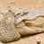 crocodilo · sol · jardim · zoológico · natureza · pele - foto stock © michaklootwijk