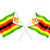 banderą · Zimbabwe · dwa · falisty · flagi · odizolowany - zdjęcia stock © MikhailMishchenko